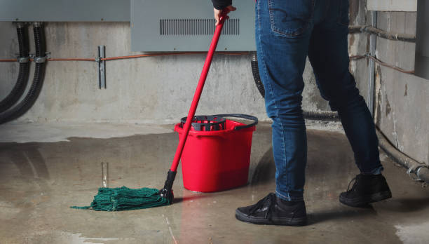 Best Carpet water damage restoration  in Collinwood, TN