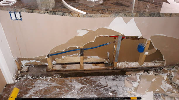 Best Flood damage cleanup  in Collinwood, TN