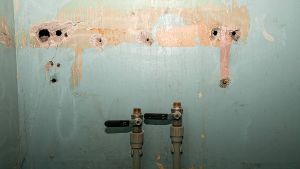 Trusted Collinwood, TN Water damage restoration Experts