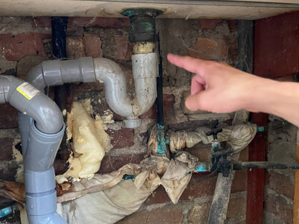 Best 24-hour water damage restoration  in Collinwood, TN