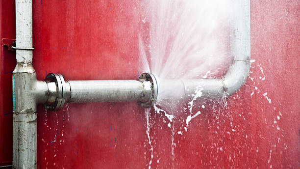 Best Local water damage restoration  in Collinwood, TN